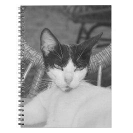 Caderno Espiral Olá, Meow..