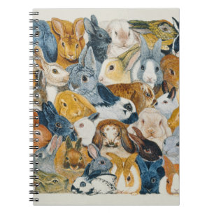 Caderno Espiral Olhos brilhantes