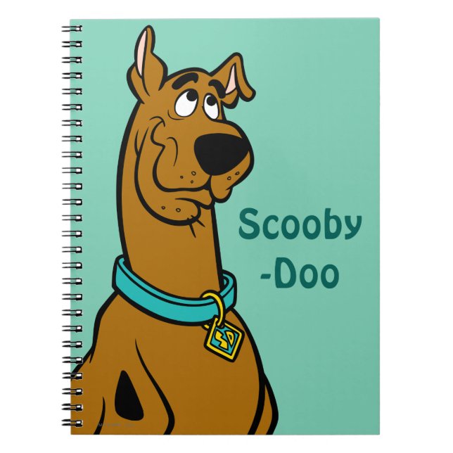 Caderno Espiral Olhos De Puppy Scooby-Doo (Frente)