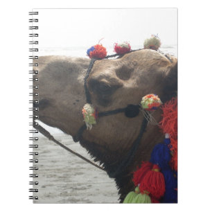Caderno Espiral Oman Muscat Camel Photo Art Impressão