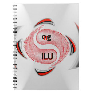 CADERNO ESPIRAL OMG!