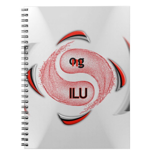 CADERNO ESPIRAL OMG! (Frente)