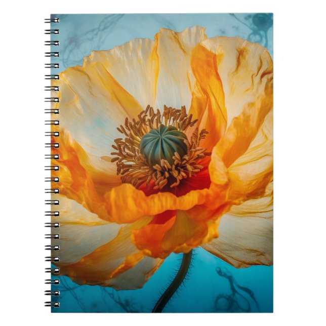 Caderno Espiral Orange Beauty (Frente)