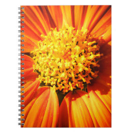 Caderno Espiral Orange Flower Macro Nature Photography Wall Art