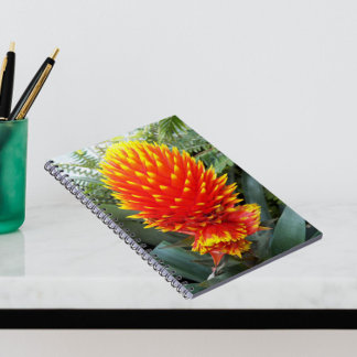 Caderno Espiral Orange Guzmania Conifera Tropical Floral