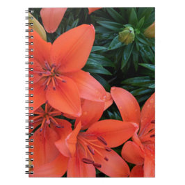 Caderno Espiral Orange Lily