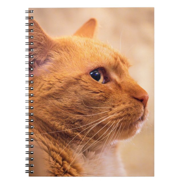 Caderno Espiral Orange Tabby Cat Notebook Curious Feline Notebook (Frente)