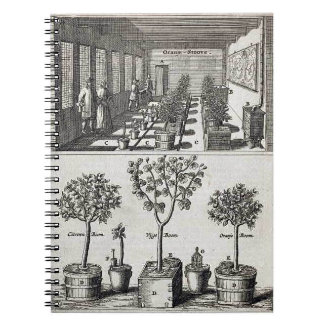 Caderno Espiral Orangery, de "De Nederlandze Hesperides" daqui até (Frente)