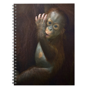 Caderno Espiral Orangotango