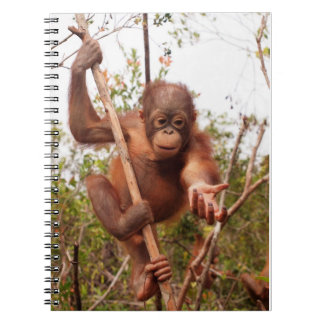 Caderno Espiral Orangotango do pedreiro - empreste-me uma mão