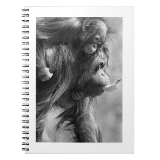 Caderno Espiral Orangutan#8-Notebook
