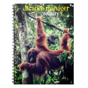 Caderno Espiral Orangutan pendurado na árvore