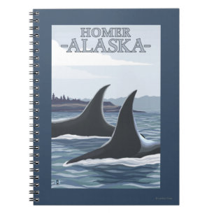 Caderno Espiral Orca Whales #1 - Homer, Alaska