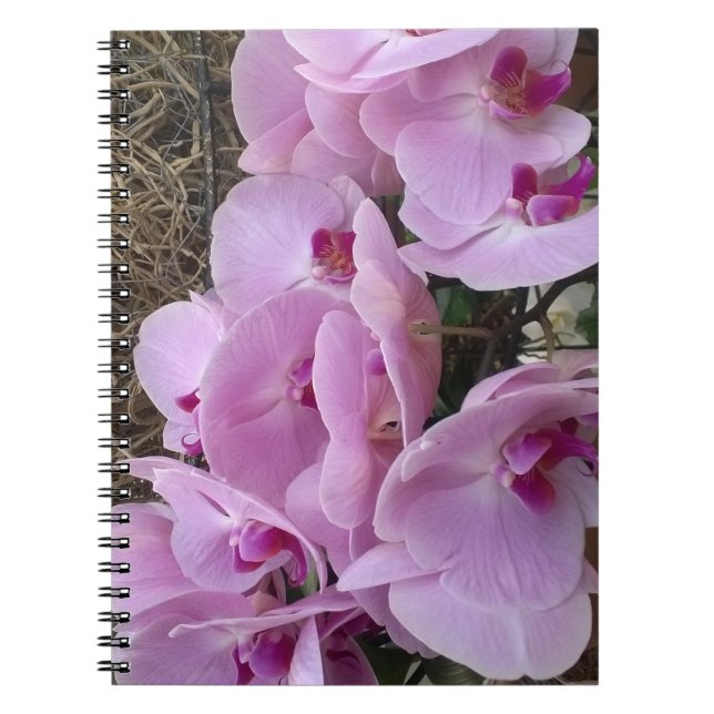 Caderno Espiral Orchids (Frente)