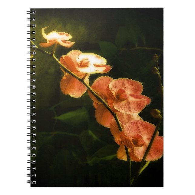 Caderno Espiral Orquídea Laranja (Frente)