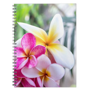 Caderno Espiral orquídea, livro de receitas opal da cozinha do