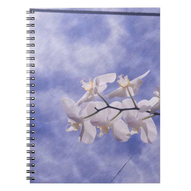 Caderno Espiral Orquídea Mariposa (Frente)