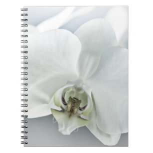 Caderno Espiral Orquídea Phalaenopsis Branca