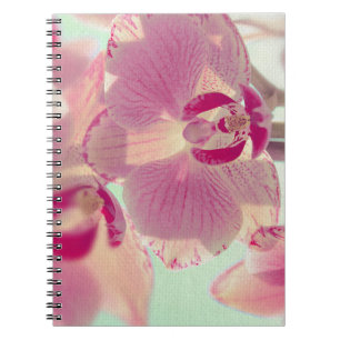 Caderno Espiral Orquídea Rosa