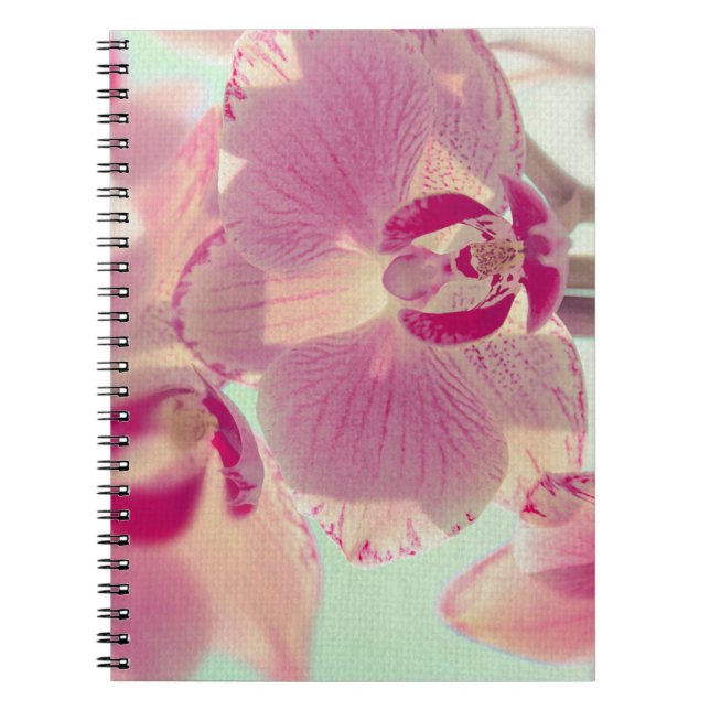 Caderno Espiral Orquídea Rosa (Frente)