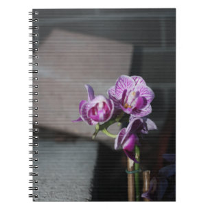 Caderno Espiral Orquídea Roxa
