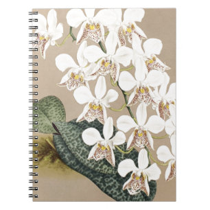 Caderno Espiral Orquídeas