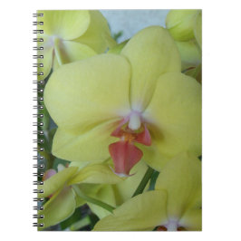 Caderno Espiral Orquídeas amarelas