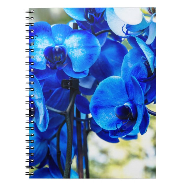 Caderno Espiral Orquídeas azuis (Frente)