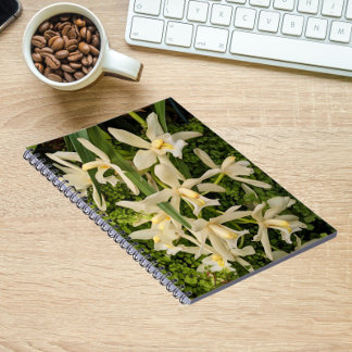 Caderno Espiral Orquídeas Brancas e Ferns Floral