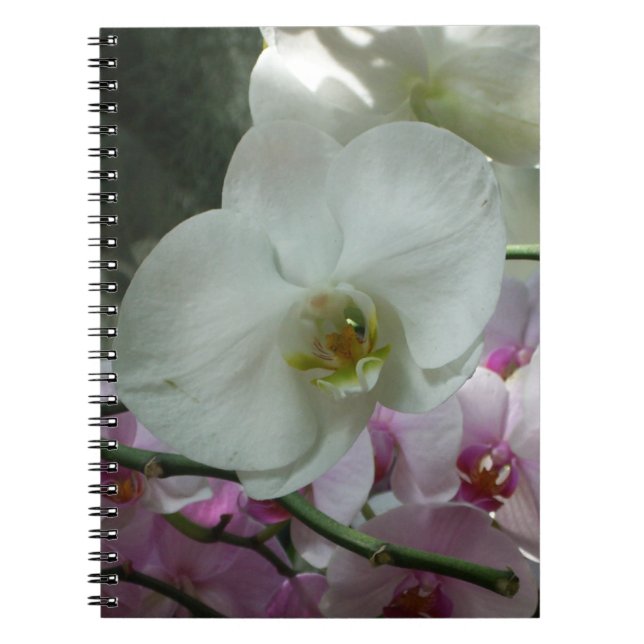 Caderno Espiral Orquídeas brancas e roxas (Frente)
