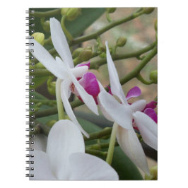 Caderno Espiral Orquídeas brancas e roxas em um notebook prático