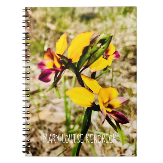Caderno Espiral Orquídeas-burro (Frente)