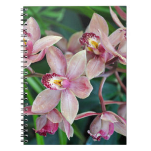 Caderno Espiral Orquídeas de mariposa rosa