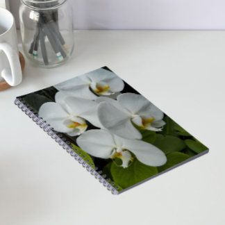 Caderno Espiral Orquídeas Florais Brancas Phalaenopsis