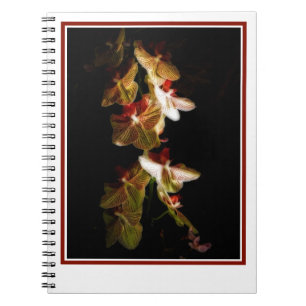 Caderno Espiral orquídeas listradas