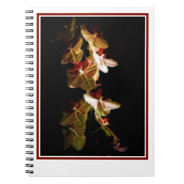Caderno Espiral orquídeas listradas (Frente)
