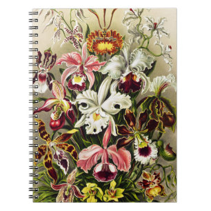Caderno Espiral Orquídeas, Orquídeas Denusblumen Ernst Haeckel