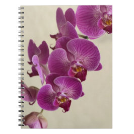 Caderno Espiral Orquídeas Rosa