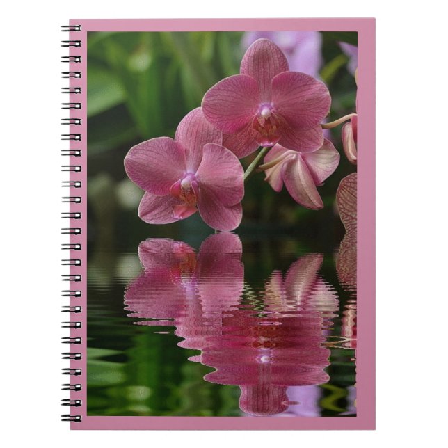 Caderno Espiral Orquídeas Rosa Com Reflexões (Frente)