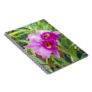 Caderno Espiral Orquídeas roxas de Cattleya