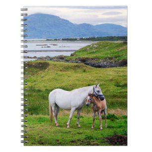 Caderno Espiral Os Cavalos de Connemara Galway, Irlanda