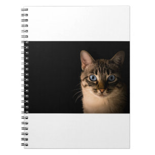Caderno Espiral Os Gatos São Os Melhores 20