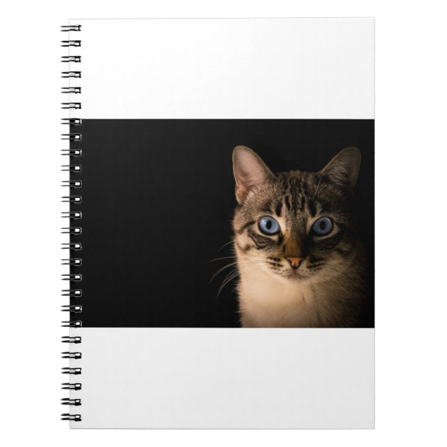 Caderno Espiral Os Gatos São Os Melhores 20 (Frente)
