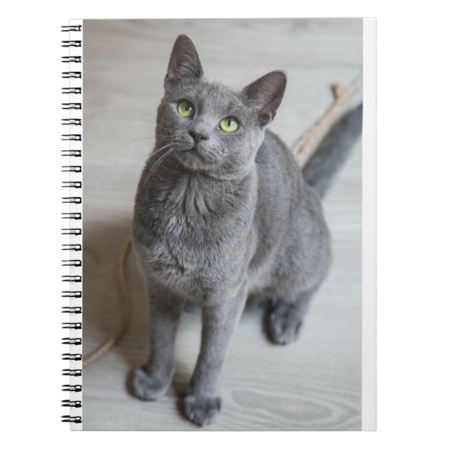 Caderno Espiral Os Gatos São Os Melhores 57 (Frente)