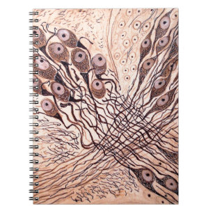 Caderno Espiral Os neurônios 1 de Cajal