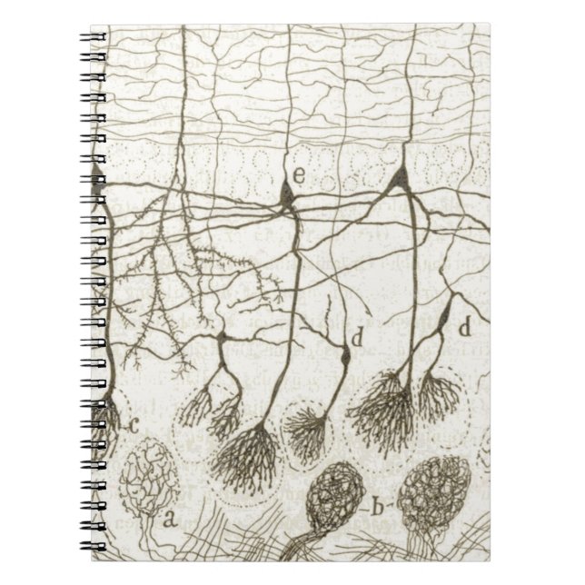 Caderno Espiral Os neurônios 8 de Cajal (Frente)