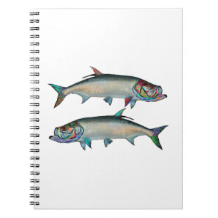 CADERNO ESPIRAL OS REIS DE PRATA
