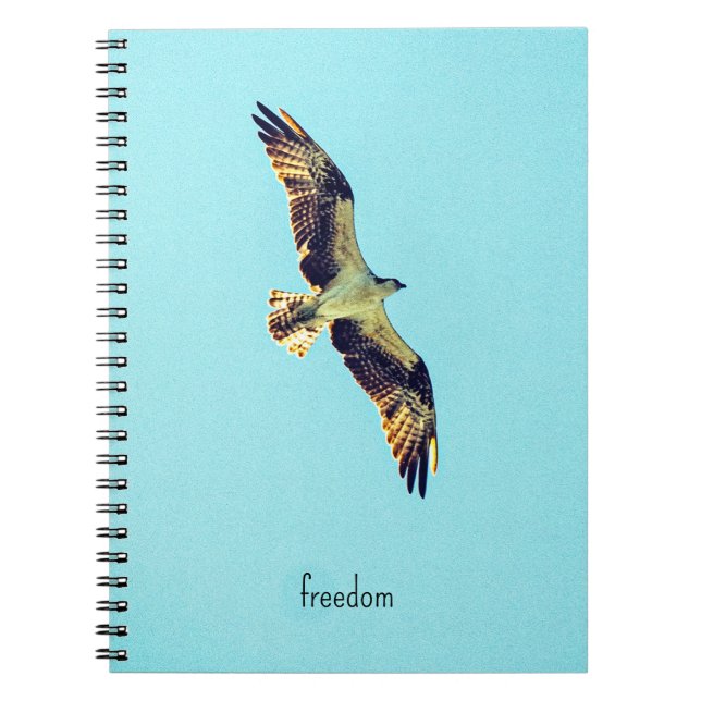 Caderno Espiral Osprey art (Frente)
