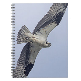 Caderno Espiral Osprey em vôo