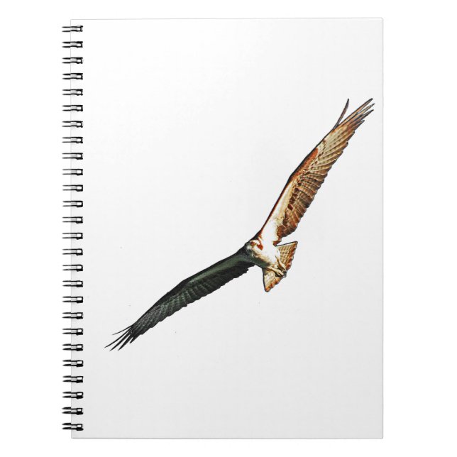 Caderno Espiral Osprey Flying (Frente)